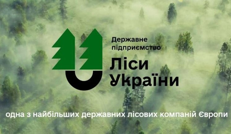 Незалежна наглядова рада "Лісів України" розпочинає роботу