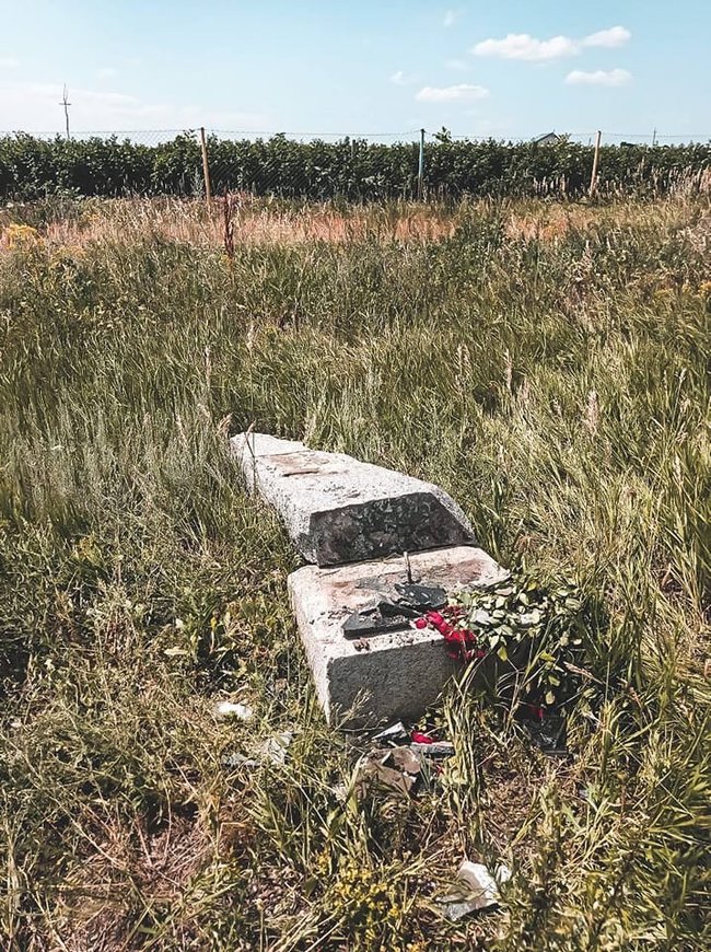 ОПЗЖ знову відновила памятний знак дружби з Росією під Харковом - активісти демонтували його протягом години 06