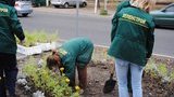 В Луганске к визиту Януковича "создают теплую атмосферу цветущего лета". ФОТОрепортаж