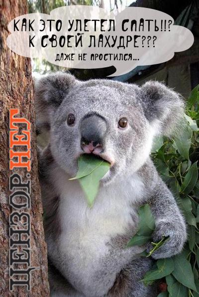 Поматросил и бросил...