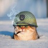 ВОВКА ПТН ТЫ ПУЙЛО