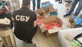 СБУ пресекла работу крупной сети ботоферм с кураторами из РФ. ФОТОрепортаж