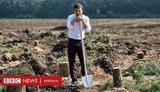 Ліси, відходи і побори: чому Зеленський вирішив вигнати міністра довкілля