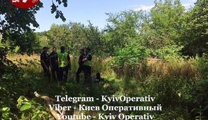 В парке Киева найдена повешенной женщина