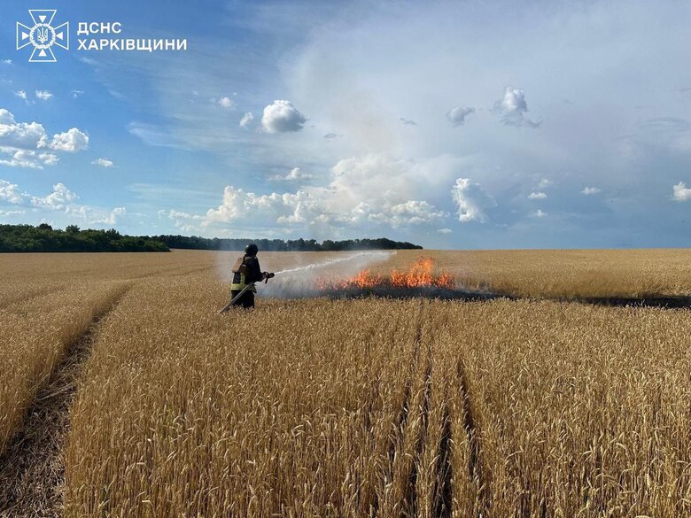 Наслідки удару РФ по полю