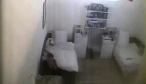 "Видео от сайта Герман "из камеры Тимошенко" - подделка: мошенники из АП не все учли". ФОТОрепортаж
