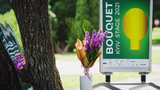 На фестивалі Bouquet Kyiv Stage 2021 покажуть ретроспективу українського кіно за 30 років Незалежності
