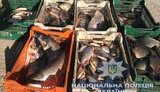 43 тонни риби та 3957 порушників: водна поліція підбила підсумки операції "Нерест". ФОТО
