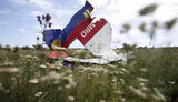 mh17