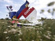 mh17