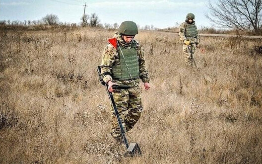 У 2024 році площа забруднених територій України скоротилась на 17 000 км²