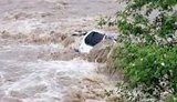 Floods in Ivano-Frankivsk region: Over 10,000 houses are inundated