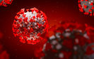 Ukraine reports 16,235 new coronavirus cases