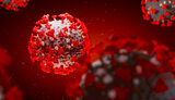 Ukraine reports 16,235 new coronavirus cases
