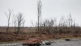 міноборони,війна