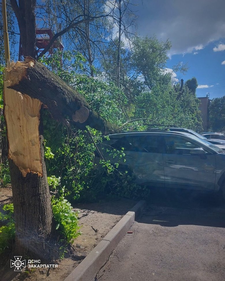 В Украине из-за непогоды погибли два человека, еще двое получили травмы