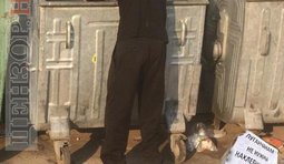 Мировая житница