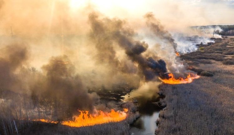 Пожежі в зоні ЧАЕС: загасити неможливо, радіаційний фон може погіршитися