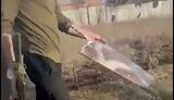 occupiers shot down their drone