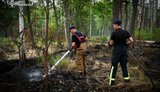 В Чернобыльской зоне ликвидировали масштабный пожар после двух недель непрерывного тушения