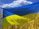 Про ліквідацію наслідків війни