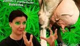 Украина глазами Богословской: "Огромное вымя в преддверии ЕВРО". ФОТОрепортаж