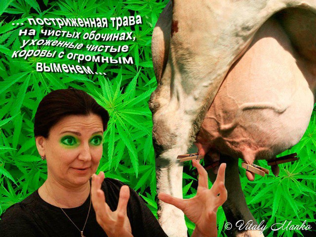 Цензор.НЕТ Изображение