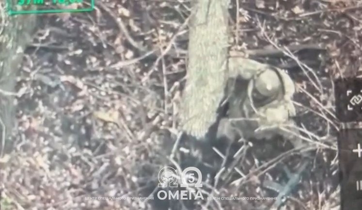 Спецпризначенці "Омеги" ліквідували найманця армії РФ у лісосмузі під Покровськом. ВIДЕО