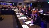 На Парламентской ассамблее НАТО приняли доклад по Украине, подготовленный Канадой, - глава украинской делегации Чернев