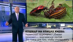 Повод найден!