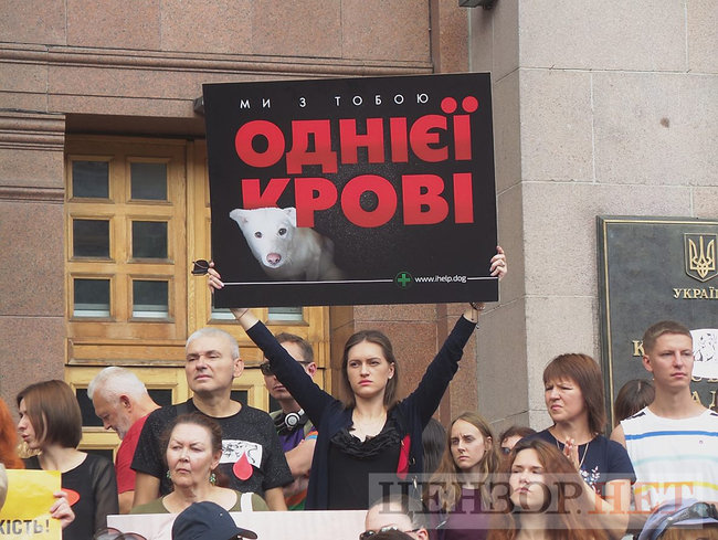 Ми втомилися від безкарності збоченців: Учасники Всеукраїнської акції Україна - не шкуродерня мітингували під КМДА 14