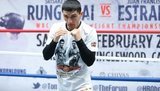 Украинский боксер Далакян стал чемпионом мира по версии WBA. ВИДЕО