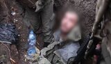 полонений