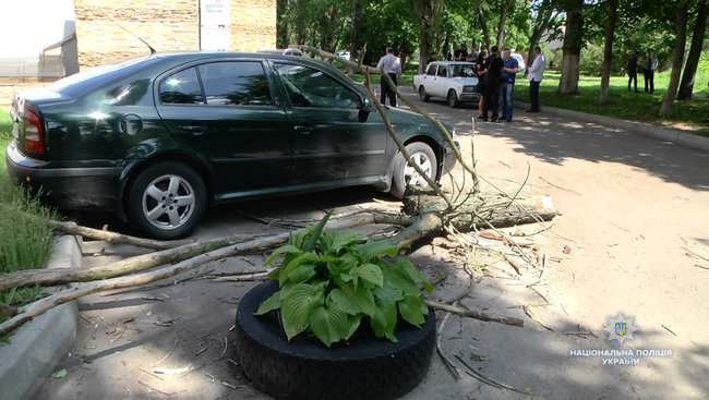 Четверо школярів постраждали від падіння дерева в Черкасах, - Нацполіція 01