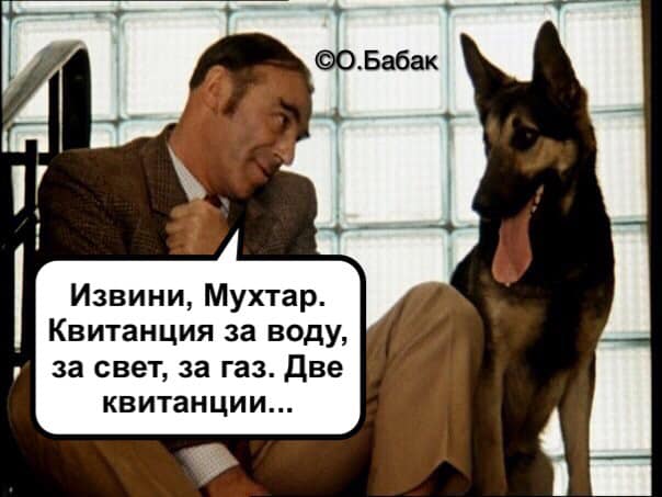 Прощай, Шарик... Пришли из облгаза! Мудрый совет Слуги народа в ФОТОжабах 20
