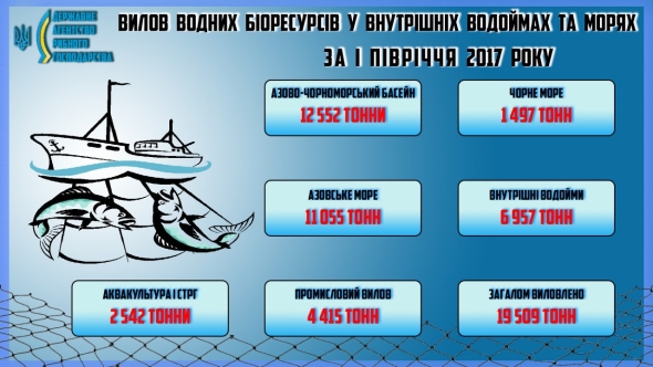 Украина существенно сократила вылов рыбы в Азовском море, - Госрыбагентство 01