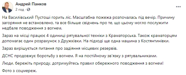 У Краматорську - масштабна лісова пожежа, - мер Панков 01