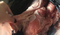 харчування