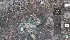 Дикий кіт доїдає зад мертвого рашиста серед посадки: кадри пілотів 92-ї ОШБр. ВIДЕО