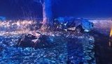 Skoda на Житомирщині влетіла в дерево і зайнялася: троє загиблих. ФОТО