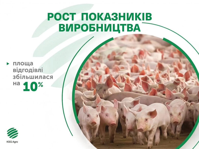В Україні два фронти: Сергій Касьянов розповів про стратегію незламності для бізнесу 03