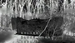 Прикордонники знищили танк, артилерію та живу силу ворога