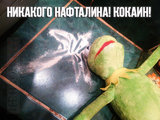 Никакого нафталина!