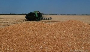 "Слово в слово, кома в кому, крапка в крапку", - депутат від БПП Мушак заявив про реєстрацію в Раді проекту земельної реформи Тимошенко. ДОКУМЕНТ