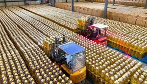 Наслідки блокування портів: Україна за 15 днів вересня експортувала 62% від можливого обсягу олії
