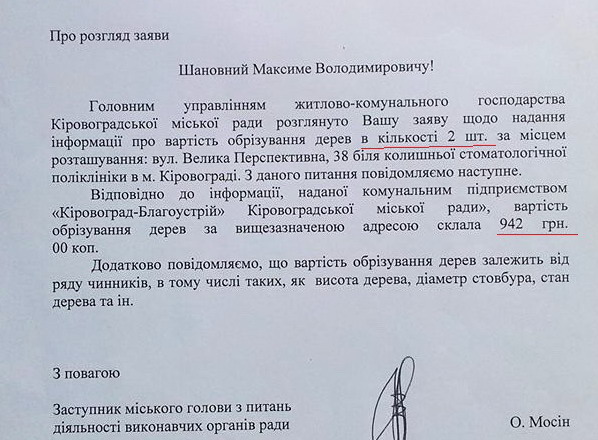 дерево