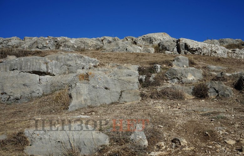 Цензор.НЕТ Изображение