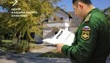 цнс
