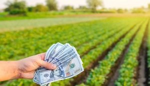 Світовий банк виділив Україні $250 мільйонів на компенсацію кредитних відсотків аграріям
