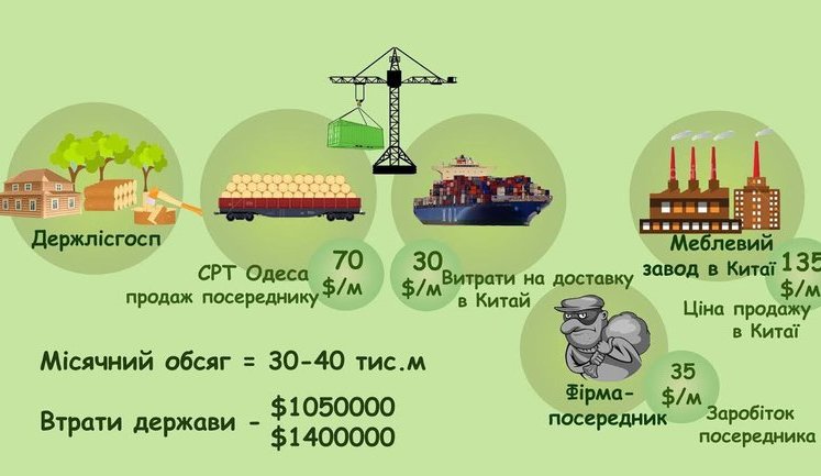 Передел леса или новые правила: быть ли реформе лесного хозяйства Украины?